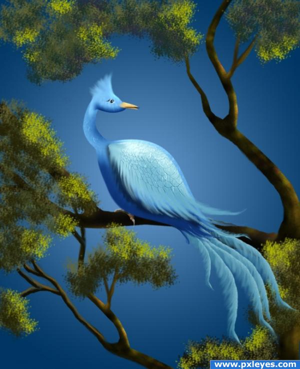 "Silver" Blue Bird